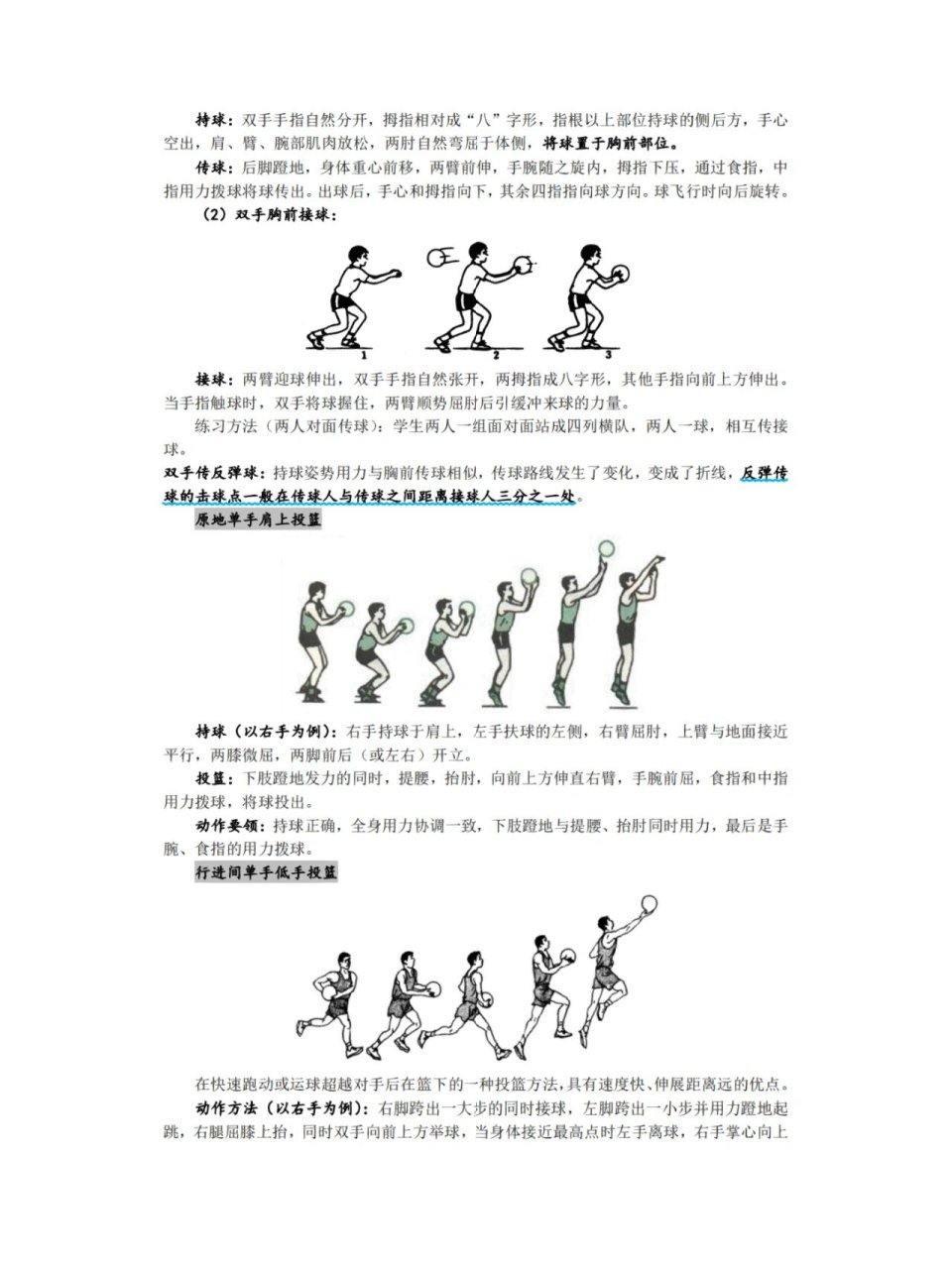 篮球训练的感悟心得体会500字内容_1